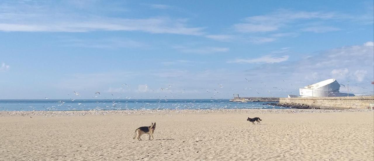 Apartament Maria Sardinha_As Tres Marias Matosinhos  Zewnętrze zdjęcie